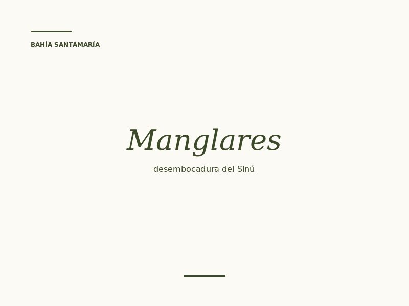 Recorrido por los manglares y desembocadura del Sinú