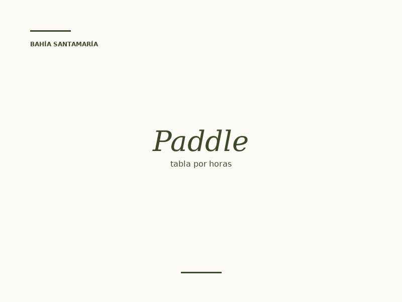 Paddle board