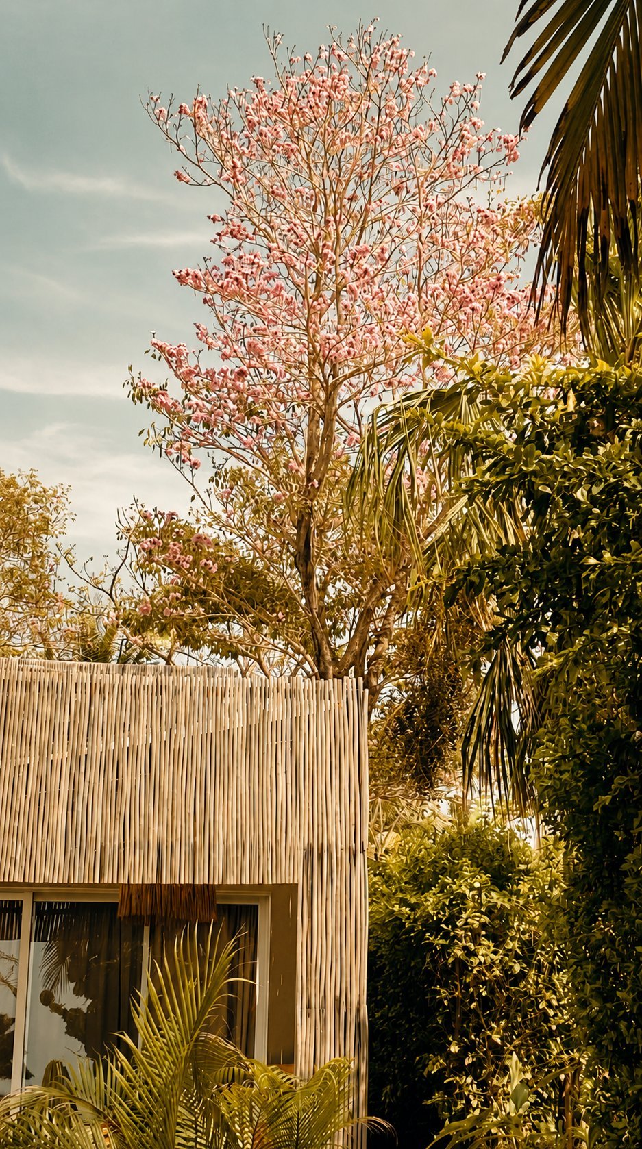 Fauna y flora de Bahía Rada